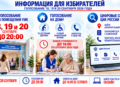 О голосовании на дому